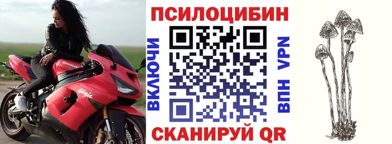 Галлюциногенные грибы GOLDEN TEACHER Купить Ессентукская